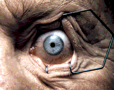2004- 9- eye